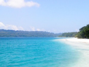 paket-tour-pulau-peucang-ujung-kulon